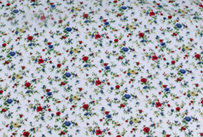 2 Pcs Printed Bed Sheet NS-992