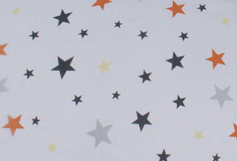 2 Pcs Printed Bed Sheet NS-982