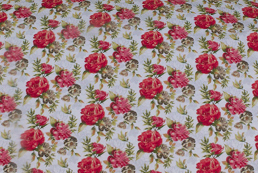 2 Pcs Printed Bed Sheet NS-1022