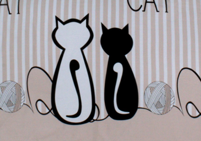 2 Pcs Printed Bed Sheet NS-1032